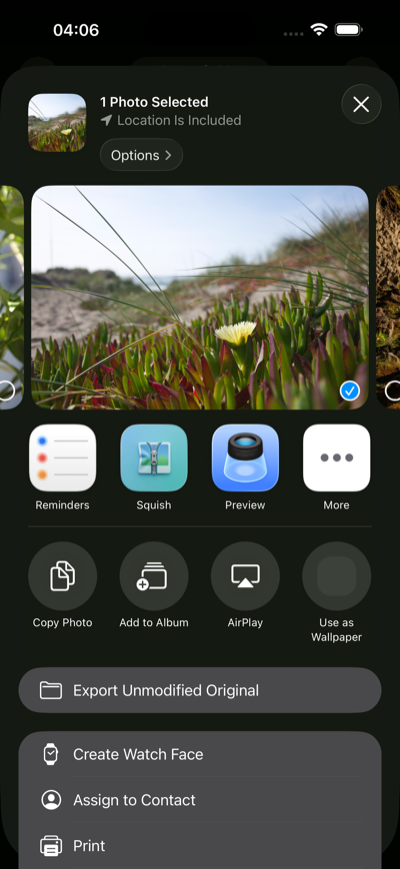 iOS share sheet showing Squish as a share extension option
